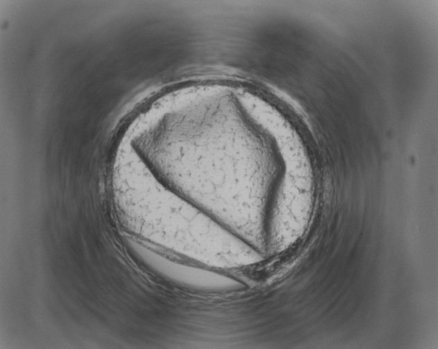 X0000083991407200703161611