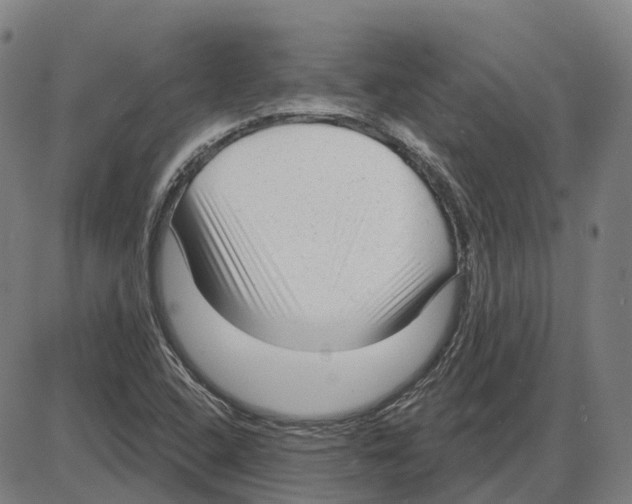 X0000083991408200703161611