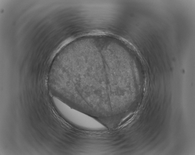 X0000083991409200703161611