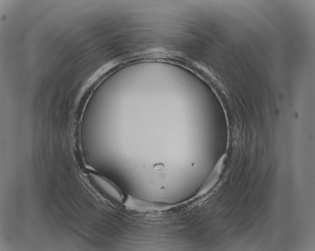 X0000083991410200703161611