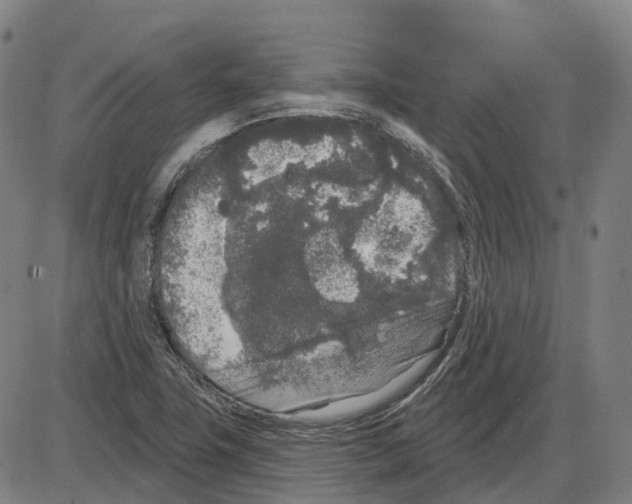 X0000083991411200703161611