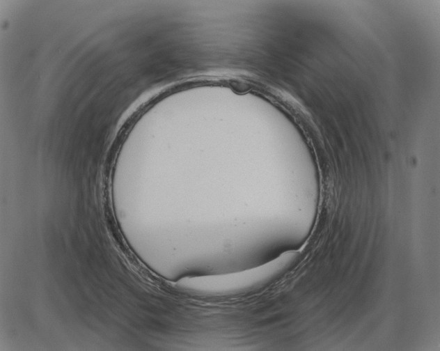 X0000083991412200703161611