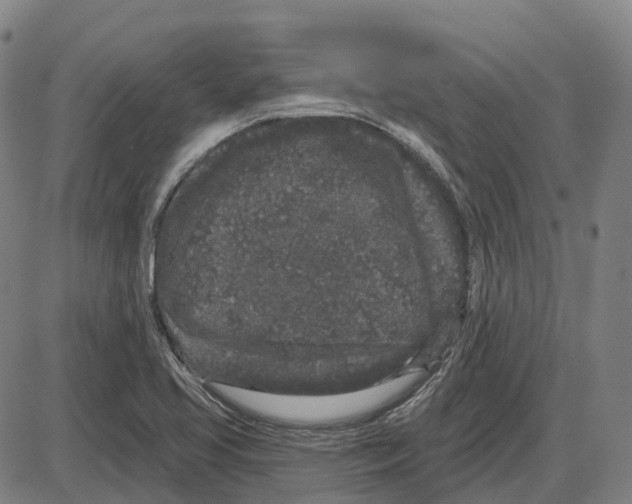 X0000083991413200703161611