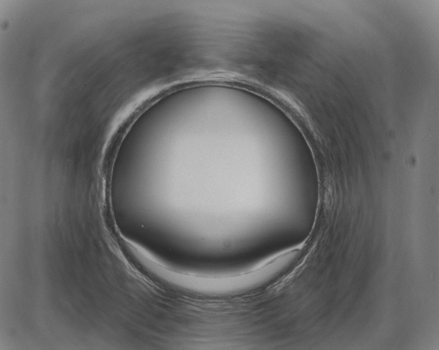 X0000083991414200703161611