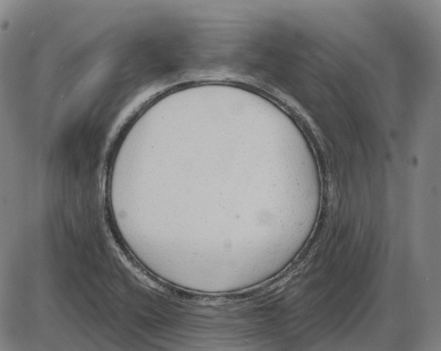 X0000083991416200703161611