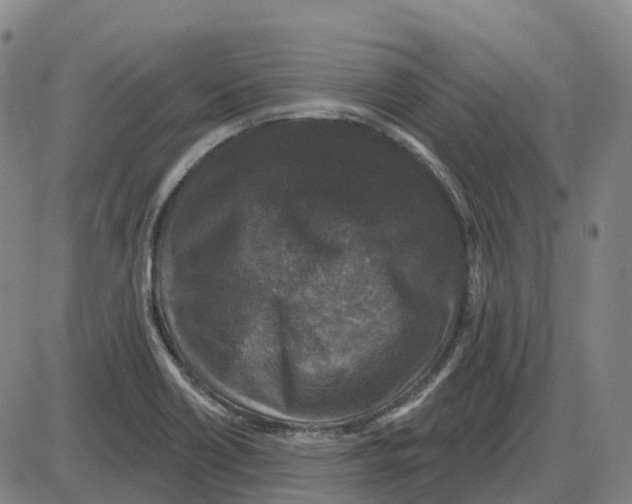 X0000083991418200703161611