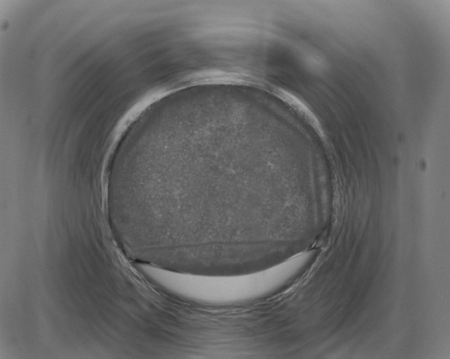 X0000083991419200703161611