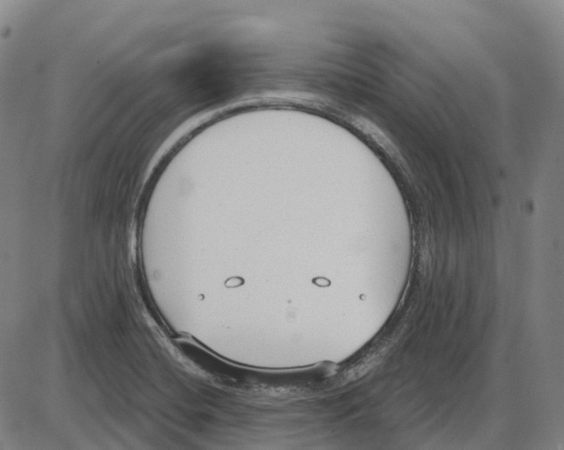 X0000083991420200703161611