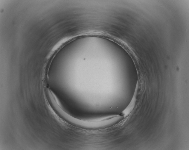 X0000083991422200703161611