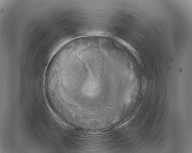 X0000083991423200703161611