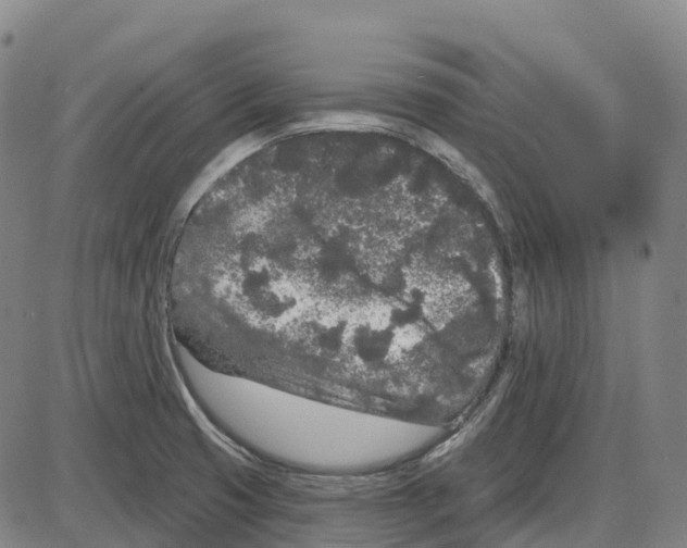 X0000083991425200703161611