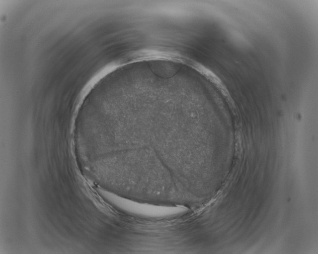 X0000083991427200703161611