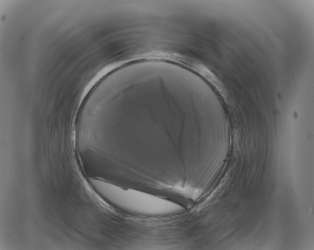 X0000083991428200703161611