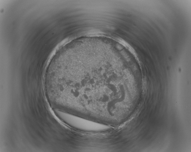 X0000083991429200703161611