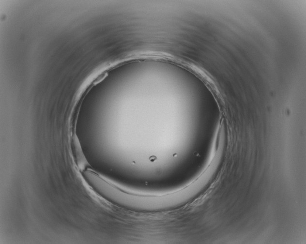 X0000083991430200703161611