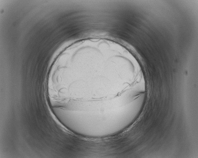 X0000083991432200703161611