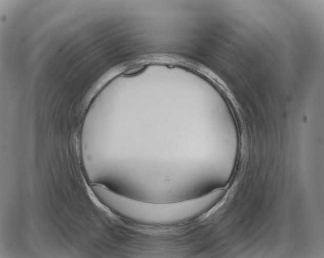 X0000083991433200703161611