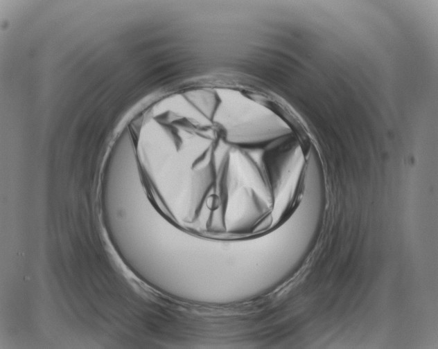 X0000083991434200703161611