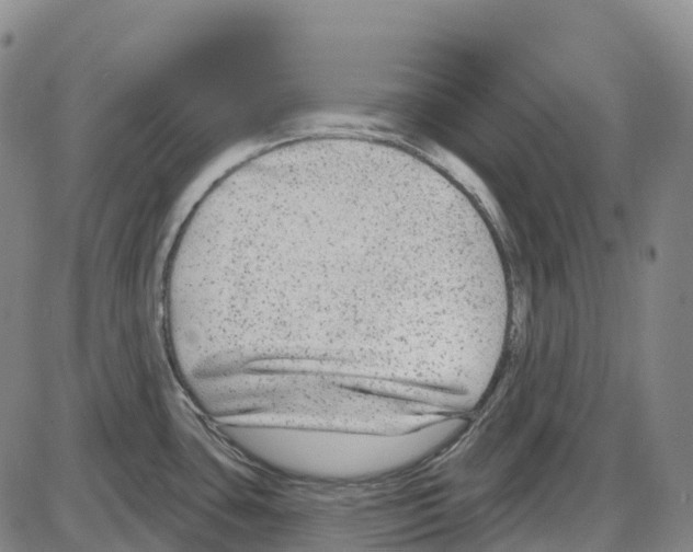 X0000083991435200703161611