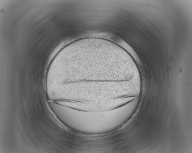 X0000083991436200703161611