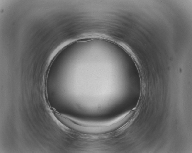 X0000083991438200703161611