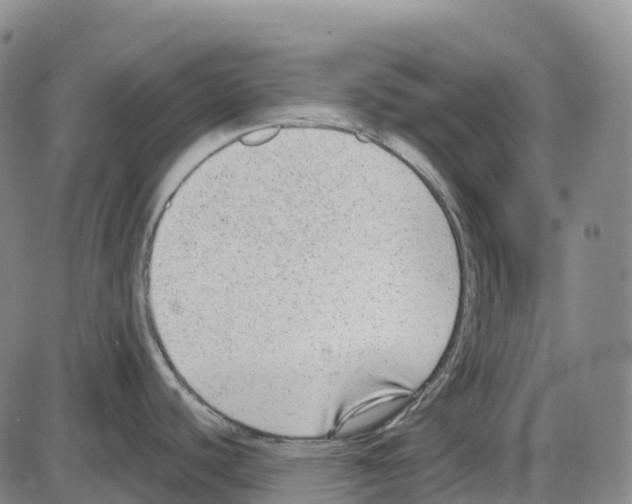 X0000083991440200703161611