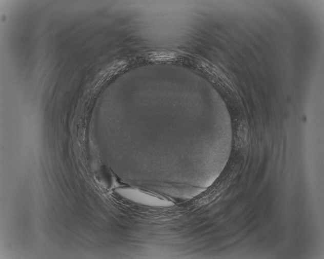 X0000083991441200703161611