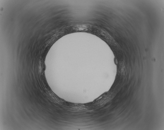 X0000083991442200703161611