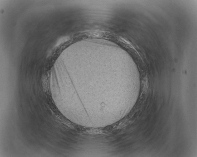 X0000083991446200703161610