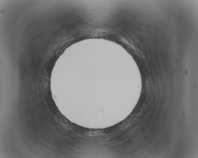 X0000083991447200703161610