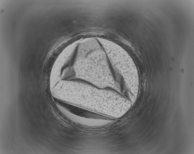 X0000083991448200703161610