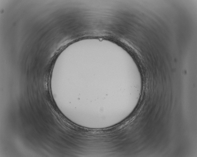 X0000083991451200703161610