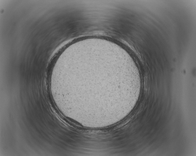 X0000083991452200703161610