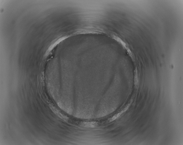 X0000083991453200703161610