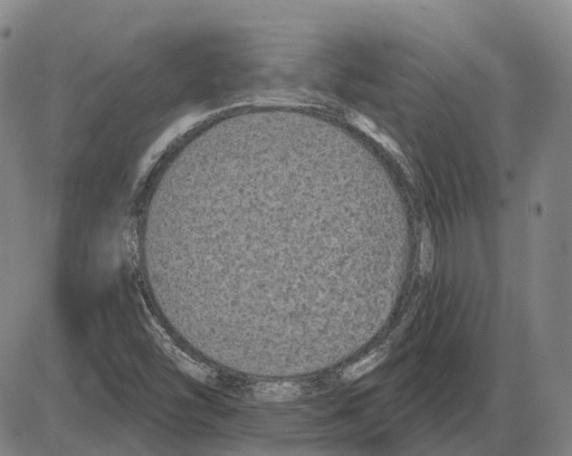 X0000083991454200703161610