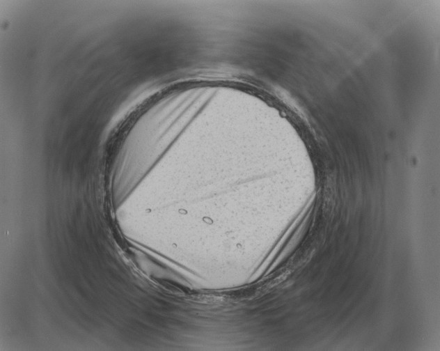 X0000083991456200703161610