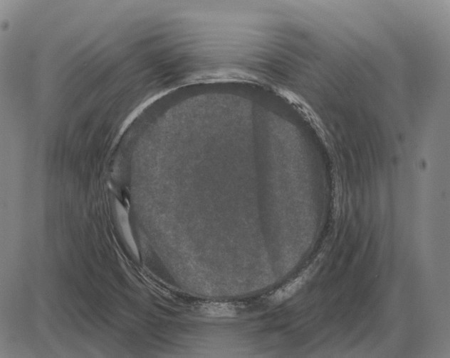 X0000083991457200703161610