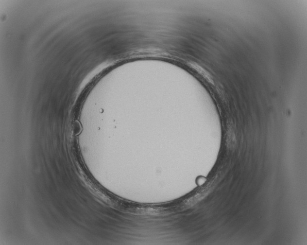 X0000083991458200703161610