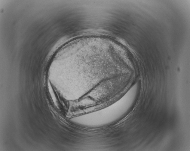 X0000083991459200703161610