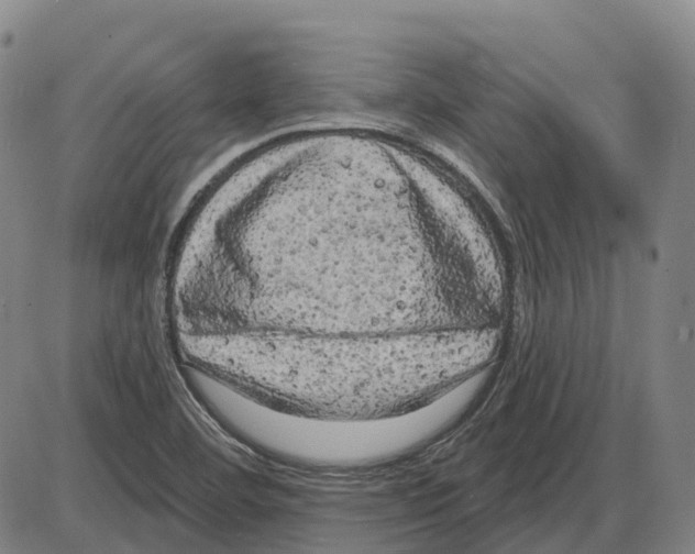 X0000083991460200703161610