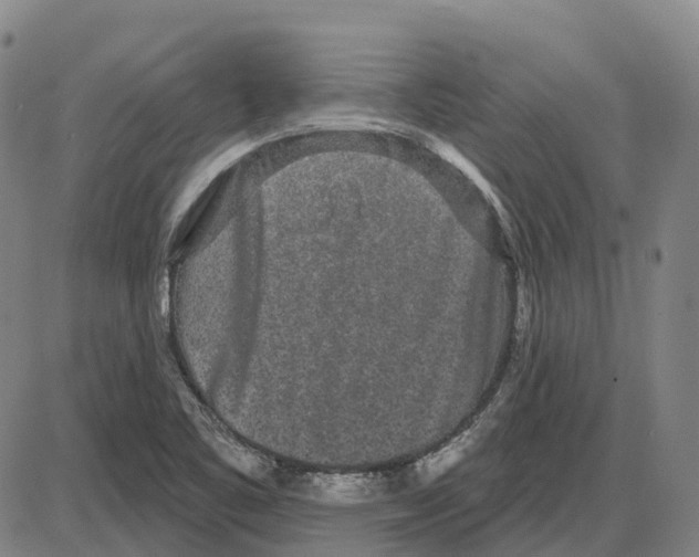 X0000083991461200703161610