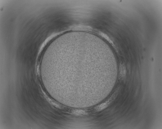 X0000083991462200703161610