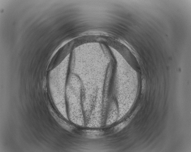 X0000083991465200703161610