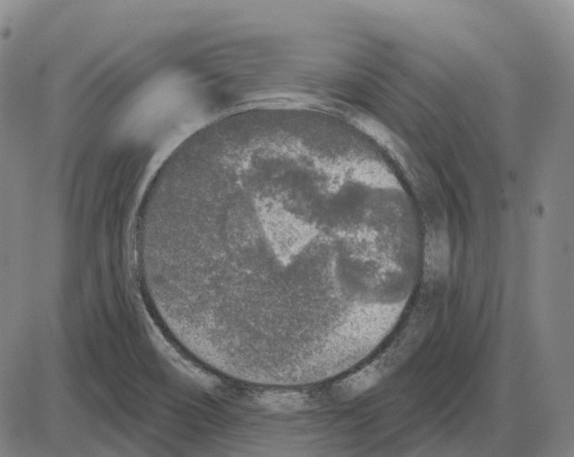 X0000083991466200703161610