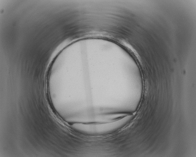 X0000083991467200703161610