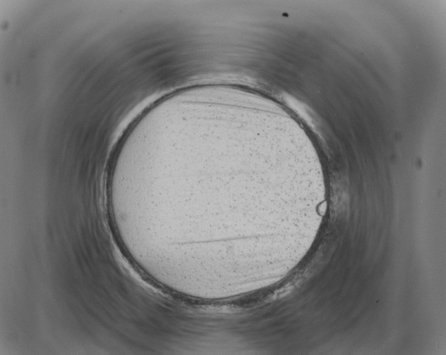 X0000083991468200703161610