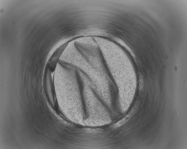 X0000083991469200703161610