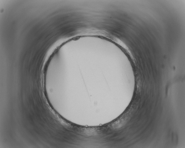 X0000083991472200703161610