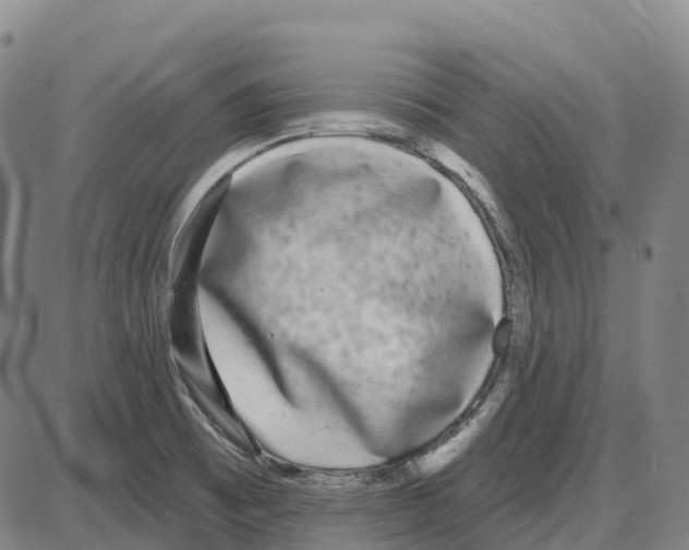 X0000083991473200703161610