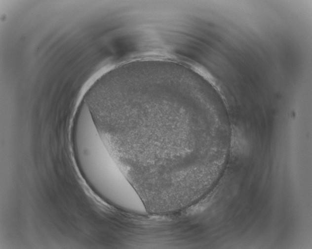 X0000083991474200703161610